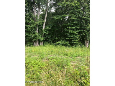 Great Lake Tansi lot! Nice sized level lot. Located on a paved on Lake Tansi Village Country Club in Tennessee - for sale on GolfHomes.com, golf home, golf lot