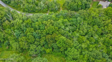 Great Lake Tansi lot! Nice sized level lot. Located on a paved on Lake Tansi Village Country Club in Tennessee - for sale on GolfHomes.com, golf home, golf lot