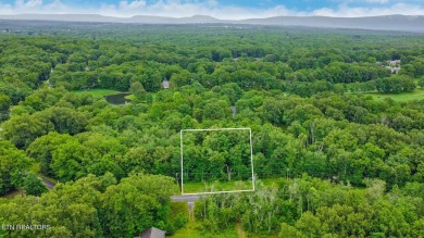 Great Lake Tansi lot! Nice sized level lot. Located on a paved on Lake Tansi Village Country Club in Tennessee - for sale on GolfHomes.com, golf home, golf lot