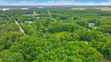 Great Lake Tansi lot! Nice sized level lot. Located on a paved on Lake Tansi Village Country Club in Tennessee - for sale on GolfHomes.com, golf home, golf lot
