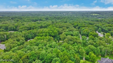 Great Lake Tansi lot! Nice sized level lot. Located on a paved on Lake Tansi Village Country Club in Tennessee - for sale on GolfHomes.com, golf home, golf lot