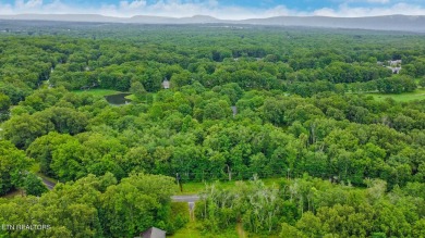 Great Lake Tansi lot! Nice sized level lot. Located on a paved on Lake Tansi Village Country Club in Tennessee - for sale on GolfHomes.com, golf home, golf lot