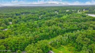 Great Lake Tansi lot! Nice sized level lot. Located on a paved on Lake Tansi Village Country Club in Tennessee - for sale on GolfHomes.com, golf home, golf lot