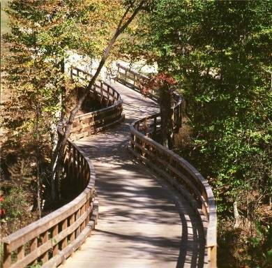 The view from 122 Switchback Run is truly stunning. The on Currahee Golf Club in Georgia - for sale on GolfHomes.com, golf home, golf lot