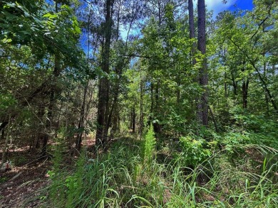 Build your dream retreat on this ideally situated lot at the end on Rayburn Country Club in Texas - for sale on GolfHomes.com, golf home, golf lot