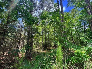 Build your dream retreat on this ideally situated lot at the end on Rayburn Country Club in Texas - for sale on GolfHomes.com, golf home, golf lot