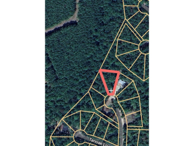 Build your dream retreat on this ideally situated lot at the end on Rayburn Country Club in Texas - for sale on GolfHomes.com, golf home, golf lot