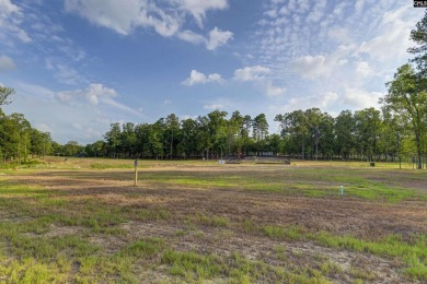 Experience the enchantment of White Water Landing, Lake Murray's on Timberlake Country Club in South Carolina - for sale on GolfHomes.com, golf home, golf lot