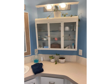 Beautiful 2-Bed, 2-Bath Home in 55+ Golf Community with Modern on Blue Heron Pines Golf Course in Florida - for sale on GolfHomes.com, golf home, golf lot
