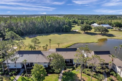 Welcome to this beautifully furnished condominium located in the on Saddlebrook Golf and Country Club in Florida - for sale on GolfHomes.com, golf home, golf lot