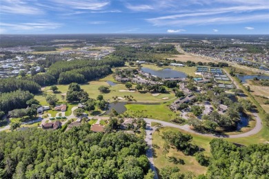 Welcome to this beautifully furnished condominium located in the on Saddlebrook Golf and Country Club in Florida - for sale on GolfHomes.com, golf home, golf lot