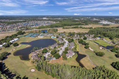 Welcome to this beautifully furnished condominium located in the on Saddlebrook Golf and Country Club in Florida - for sale on GolfHomes.com, golf home, golf lot