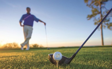 Welcome to your dream studio getaway in the heart of on Sandestin Golf and Beach Resort - The Links in Florida - for sale on GolfHomes.com, golf home, golf lot