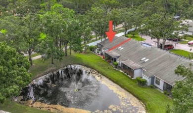 -THIS HOME IS A ABSOLUTE MUST SEE- Experience serene pond views on Lansbrook Golf Club in Florida - for sale on GolfHomes.com, golf home, golf lot