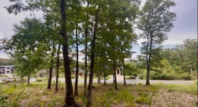 In one word...PERFECT! This is a beautiful, partially cleared on Payne Stewart Golf Club of Branson Hills - Front in Missouri - for sale on GolfHomes.com, golf home, golf lot