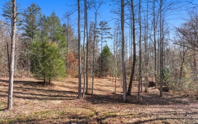 Stunning long range view lot ready to build in this exclusive on Old Toccoa Farm Golf Club in Georgia - for sale on GolfHomes.com, golf home, golf lot
