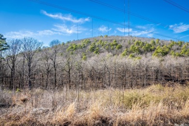 This property is approximately 77 acres in West Little Rock in on Chenal Country Club - Bear Den Mountain in Arkansas - for sale on GolfHomes.com, golf home, golf lot