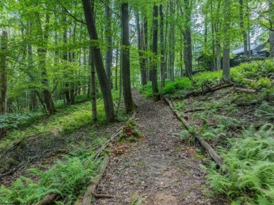 Welcome to 'Hearth and Soul', nestled within the gated mountain on Alpine Lake Resort in West Virginia - for sale on GolfHomes.com, golf home, golf lot