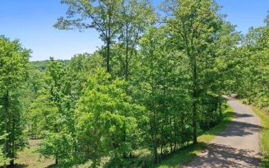 Ultimate privacy for the most discerning of buyers, features on Old Toccoa Farm Golf Club in Georgia - for sale on GolfHomes.com, golf home, golf lot