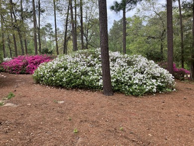 Quality Brick Home with Expansive Garage Space in Cedar Creek - on The Golf Club At Cedar Creek in South Carolina - for sale on GolfHomes.com, golf home, golf lot