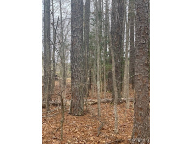 Nice home site lot located in Tanglewood Shores off Hawthorn on Tanglewood Shores Golf Club in Virginia - for sale on GolfHomes.com, golf home, golf lot