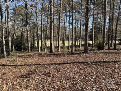 Build your dream home on this large golf course lot located on on Old North State Club at Uwharrie Point Golf community in North Carolina - for sale on GolfHomes.com, golf home, golf lot