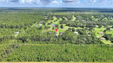 Calling All Golf Enthusiasts!  Here's your chance to own a on Indian Lake Estates Golf and Country Club in Florida - for sale on GolfHomes.com, golf home, golf lot
