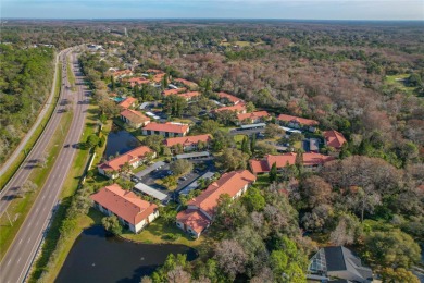 Welcome to this updated 2 bedroom 2 bath condo in the serene El on Brooker Creek Golf Club in Florida - for sale on GolfHomes.com, golf home, golf lot