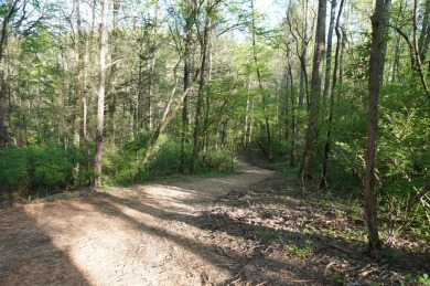 ENGLISH CREEK FRONTAGE within Walking or Golf cart distance to on Smoky Mountain Country Club in Tennessee - for sale on GolfHomes.com, golf home, golf lot