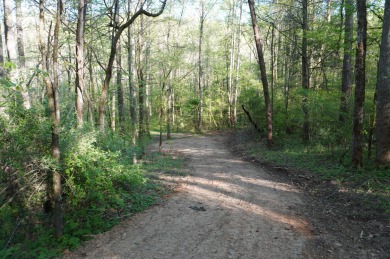 ENGLISH CREEK FRONTAGE within Walking or Golf cart distance to on Smoky Mountain Country Club in Tennessee - for sale on GolfHomes.com, golf home, golf lot