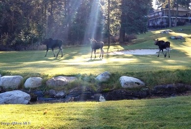Beautiful Class A only Lot. A 1st class Owners Lounge w/kitchen on Stoneridge Golf Club in Idaho - for sale on GolfHomes.com, golf home, golf lot