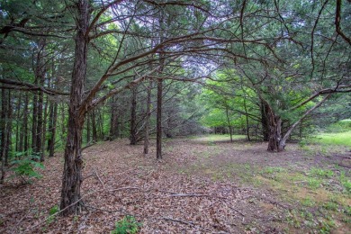 LIFE CAN BE RICHER!  Nature's beauty at its best in a beautiful on Rock Creek Golf Club in Texas - for sale on GolfHomes.com, golf home, golf lot