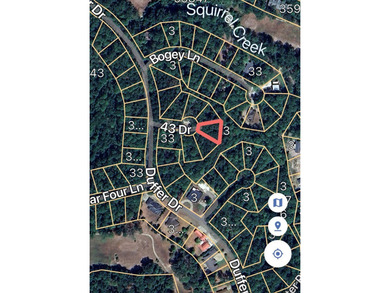 Build your dream home on this beautiful lot in the heart of on Rayburn Country Club in Texas - for sale on GolfHomes.com, golf home, golf lot