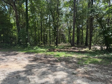 Build your dream home on this beautiful lot in the heart of on Rayburn Country Club in Texas - for sale on GolfHomes.com, golf home, golf lot