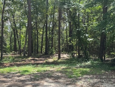 Build your dream home on this beautiful lot in the heart of on Rayburn Country Club in Texas - for sale on GolfHomes.com, golf home, golf lot
