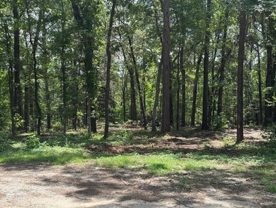 Build your dream home on this beautiful lot in the heart of on Rayburn Country Club in Texas - for sale on GolfHomes.com, golf home, golf lot