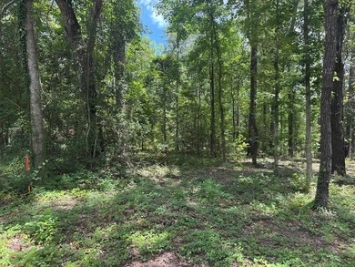 Build your dream home on this beautiful lot in the heart of on Rayburn Country Club in Texas - for sale on GolfHomes.com, golf home, golf lot