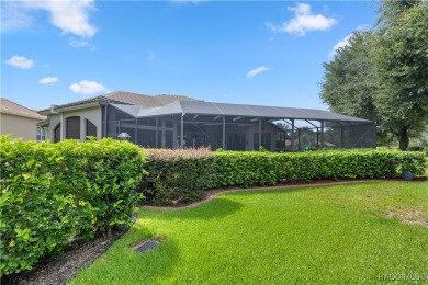 This spectacular upgraded custom built pool home located in on Skyview At Terra Vista Golf and Country Club in Florida - for sale on GolfHomes.com, golf home, golf lot