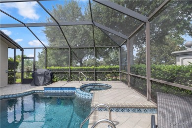 This spectacular upgraded custom built pool home located in on Skyview At Terra Vista Golf and Country Club in Florida - for sale on GolfHomes.com, golf home, golf lot