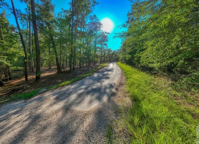 1.12 Acre WATERFRONT lot in the Coves! This property includes on Rayburn Country Club in Texas - for sale on GolfHomes.com, golf home, golf lot