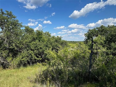 Discover the perfect setting for your dream home near the on Hideout Golf Club and Resort  in Texas - for sale on GolfHomes.com, golf home, golf lot