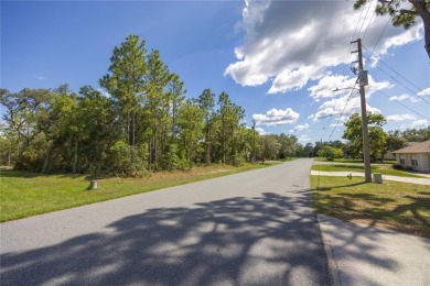 Turn your dreams into reality by building your beautiful bespoke on Sugarmill Woods Golf and Country Club in Florida - for sale on GolfHomes.com, golf home, golf lot