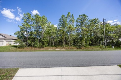 Turn your dreams into reality by building your beautiful bespoke on Sugarmill Woods Golf and Country Club in Florida - for sale on GolfHomes.com, golf home, golf lot