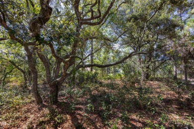 Turn your dreams into reality by building your beautiful bespoke on Sugarmill Woods Golf and Country Club in Florida - for sale on GolfHomes.com, golf home, golf lot