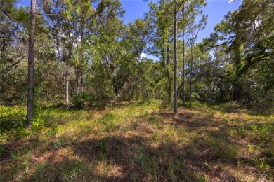 Turn your dreams into reality by building your beautiful bespoke on Sugarmill Woods Golf and Country Club in Florida - for sale on GolfHomes.com, golf home, golf lot