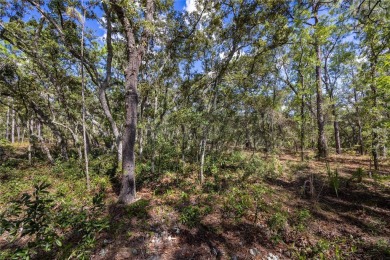 Turn your dreams into reality by building your beautiful bespoke on Sugarmill Woods Golf and Country Club in Florida - for sale on GolfHomes.com, golf home, golf lot