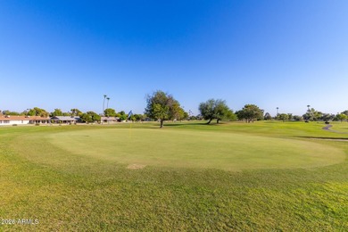 Just bring your toothbrush to this REMODELED, FULLY FURNISHED on Sun City-Willow Creek / Willow Brook  in Arizona - for sale on GolfHomes.com, golf home, golf lot