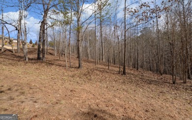 Discover your future home site at 42 Lookout Point, a spacious on Currahee Golf Club in Georgia - for sale on GolfHomes.com, golf home, golf lot