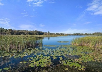 If you are looking for a fully updated, ground floor, lakefront on On Top Of The World Golf Course in Florida - for sale on GolfHomes.com, golf home, golf lot