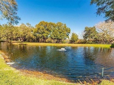 If you are looking for a fully updated, ground floor, lakefront on On Top Of The World Golf Course in Florida - for sale on GolfHomes.com, golf home, golf lot
